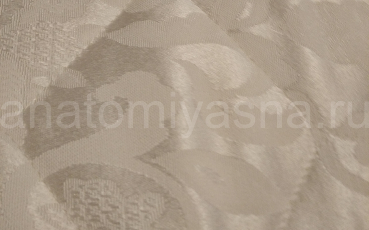 отзыв о Матрас DreamLine DreamRoll Contour фото 2